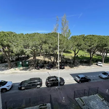 Apartment T3 Spacieux, 6 Couchages A Saint-cyprien Plage, Proche Port Et Commerces, Parking Securise - Fr-1-106-38 *